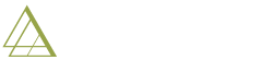 SUCCESS VOICE